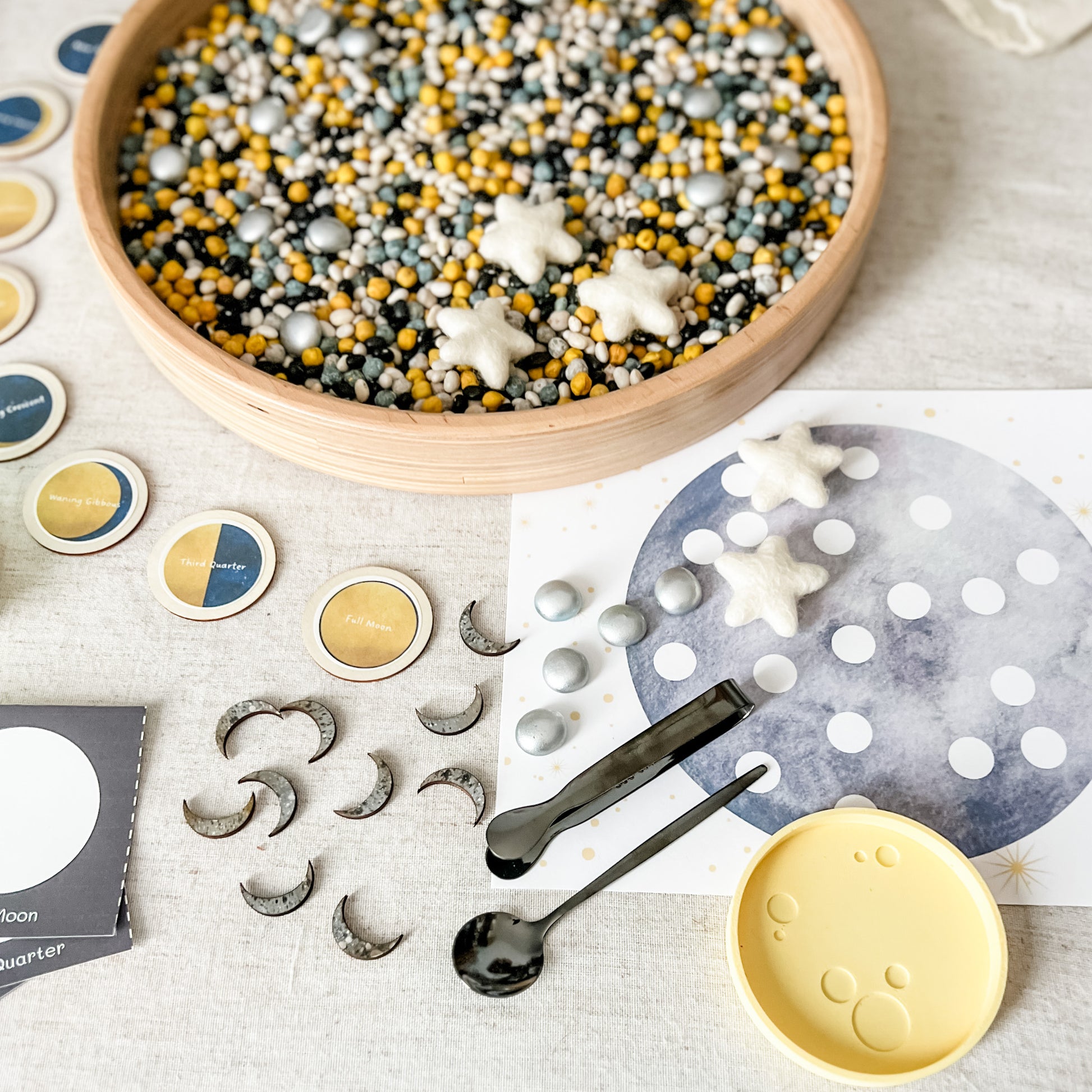 Dig and Play - Early Learning Subscription Box 2026 - Chickadees Wooden Toys