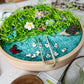 Hello Spring!  Dig & Play