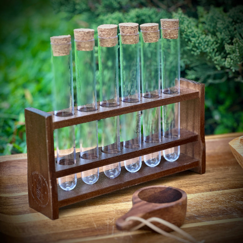 Test Tube Holder - Chickadees Wooden Toys