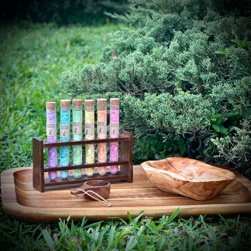 Test Tube Holder - Chickadees Wooden Toys