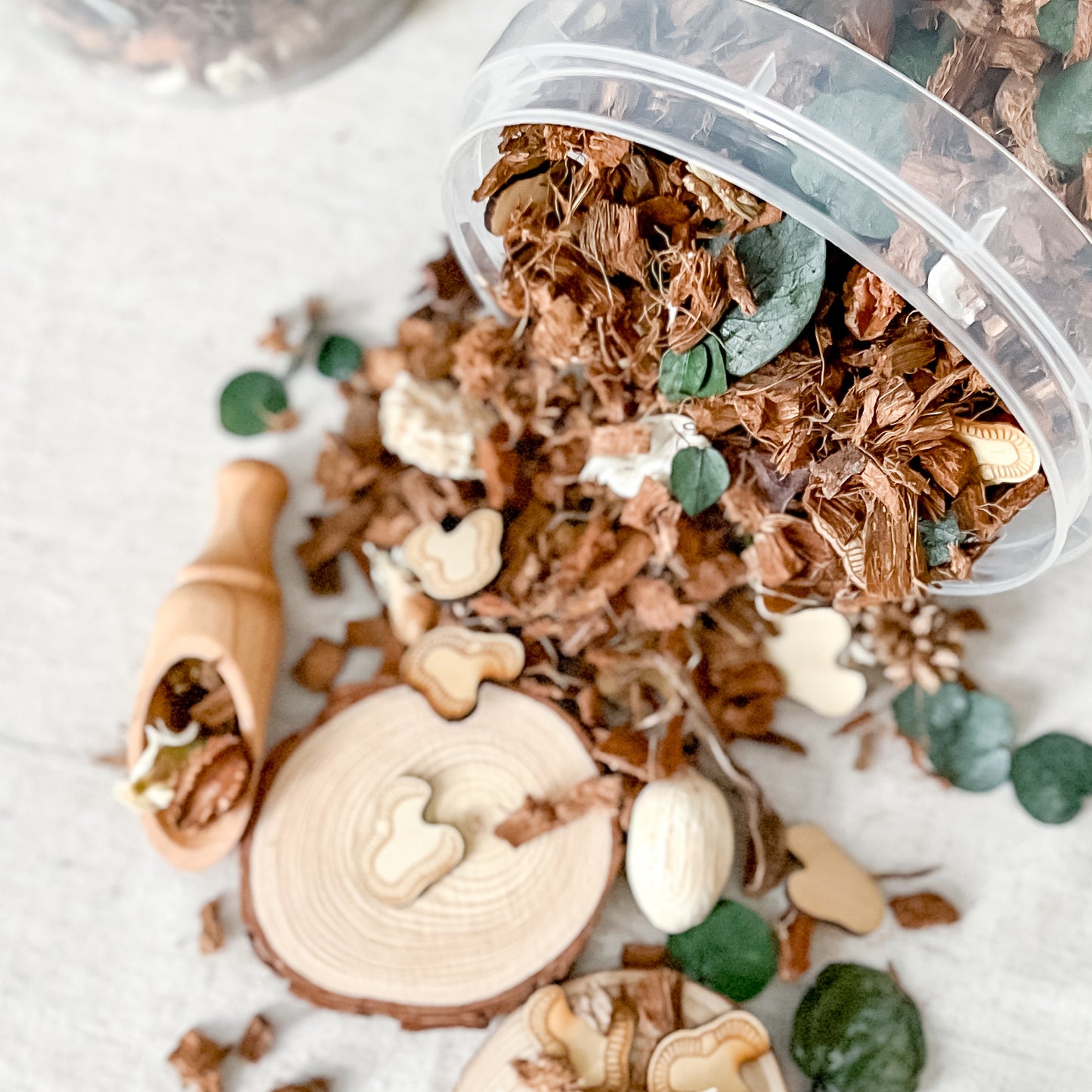 Earthworm Dig Sensory Bucket - Chickadees Wooden Toys
