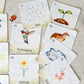 Spring - Read & Play Box - Chickadees Wooden Toys
