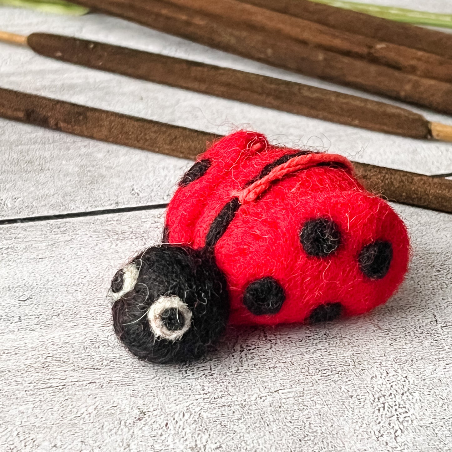 Big Lottie Ladybug - Chickadees Wooden Toys