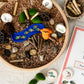 Dig and Play - Early Learning Subscription Box 2026