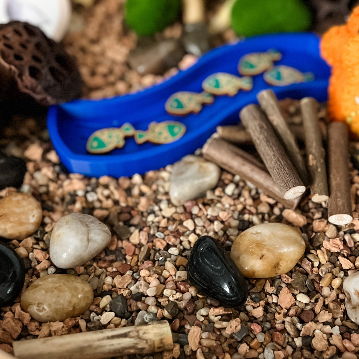Dig and Play - Early Learning Subscription Box 2026