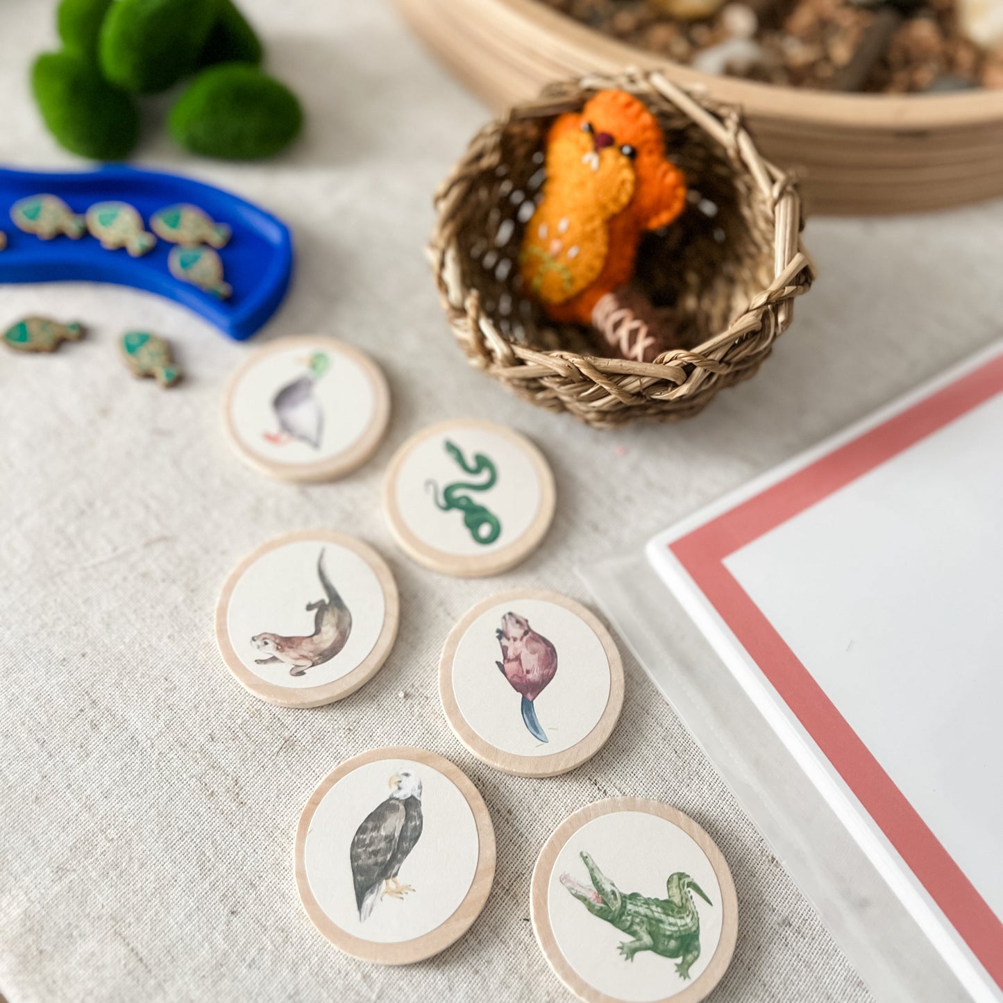 Dig and Play - Early Learning Subscription Box 2026