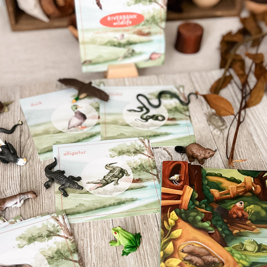 A children's educational animal discovery set laid out on a light wood surface, including illustrated cards, small animal figurines, a snake, a frog, and a colorful book or booklet titled 'Discovering Along the Way.'.