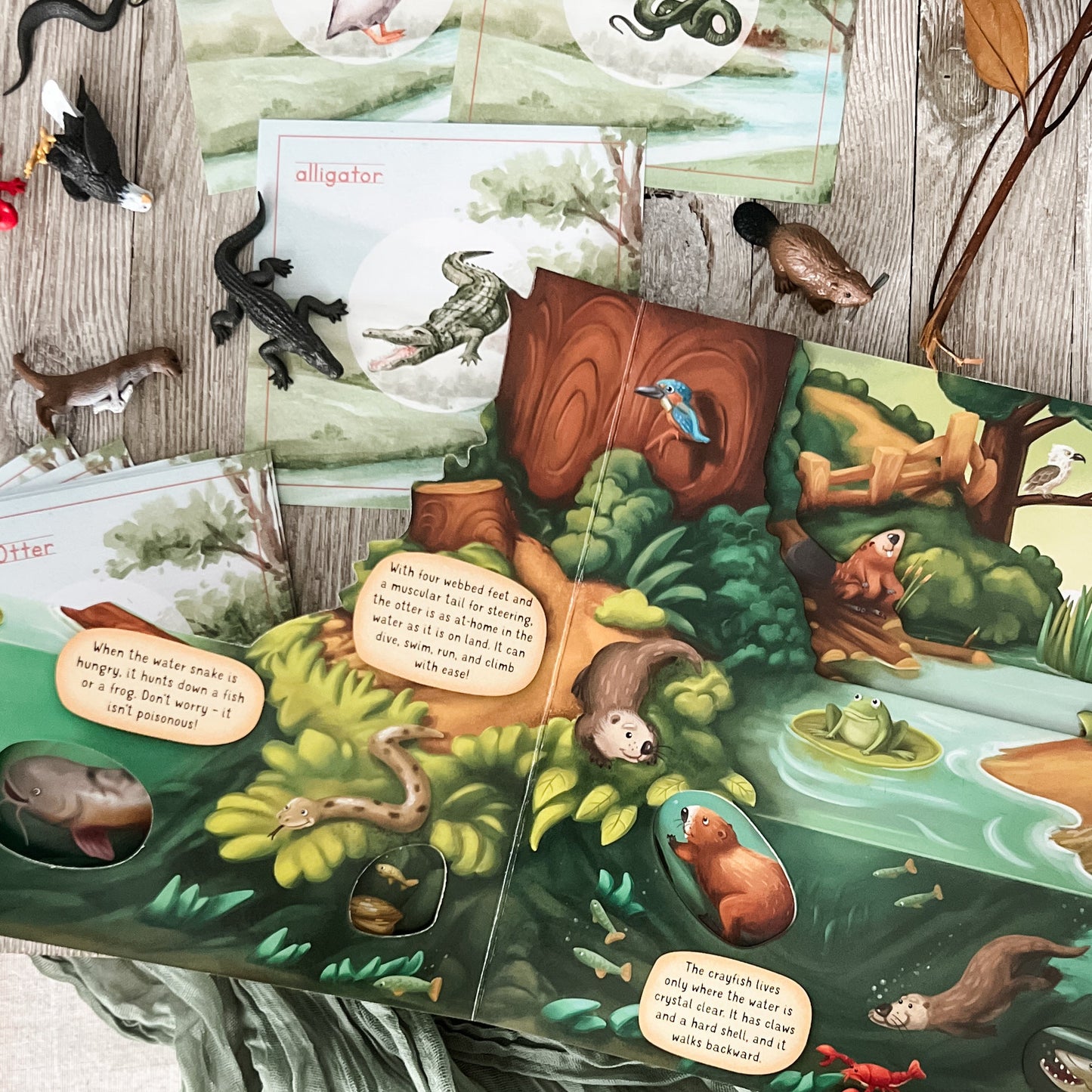 Read And Play - Early Learning Subscription Box 2026