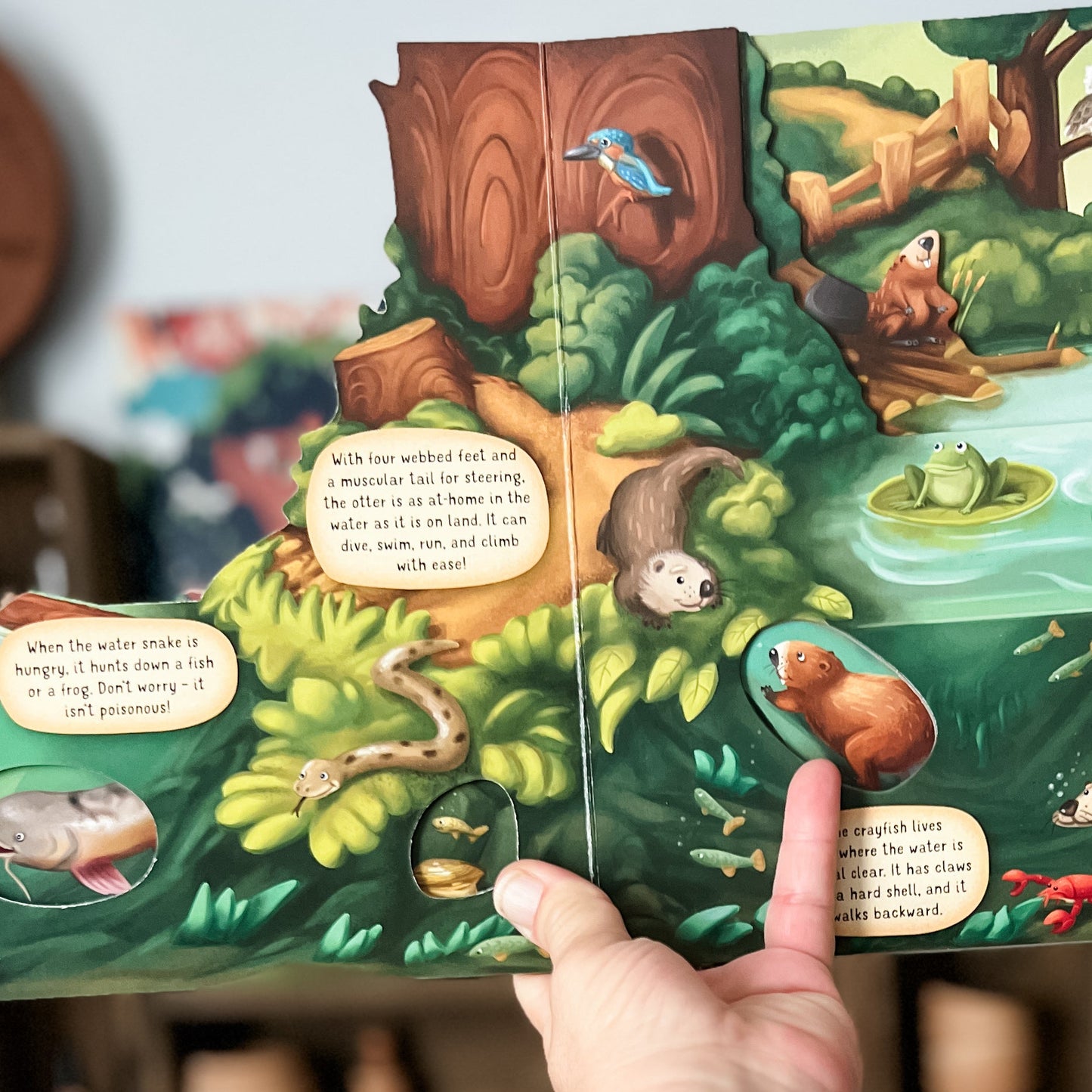 A hand holding open a colorful children's picture book showing an illustrated forest scene with animals and text bubbles. The background is softly blurred.