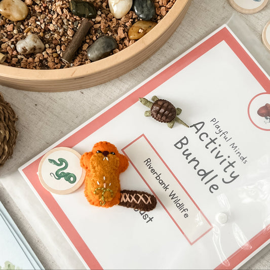 Printed Learning Adventure Bundle - Early Learning Subscription 2026
