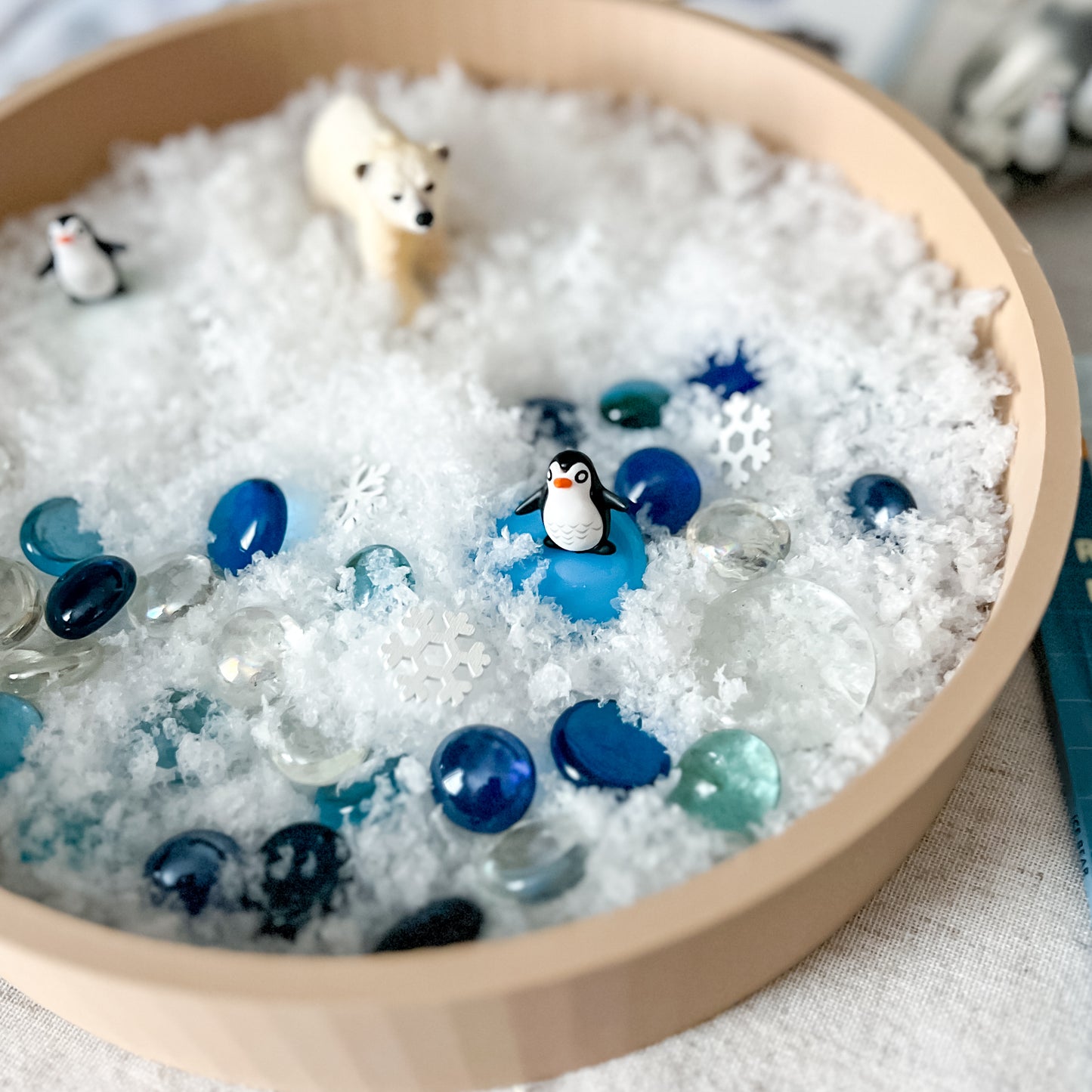 Polar Bear Activity Box