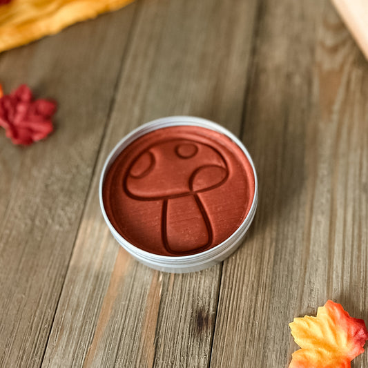 Simmer Pot Scented - Autumn Red Play Dough