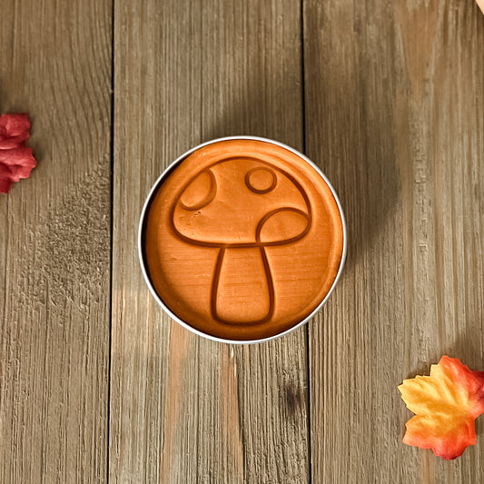Simmer Pot Scented - Autumn Orange Play Dough