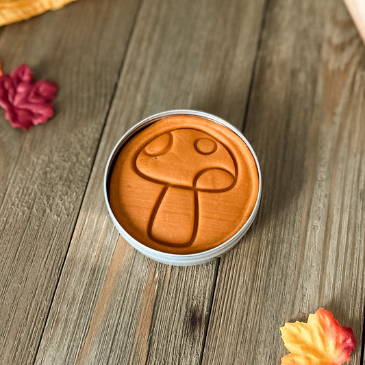 Simmer Pot Scented - Autumn Orange Play Dough