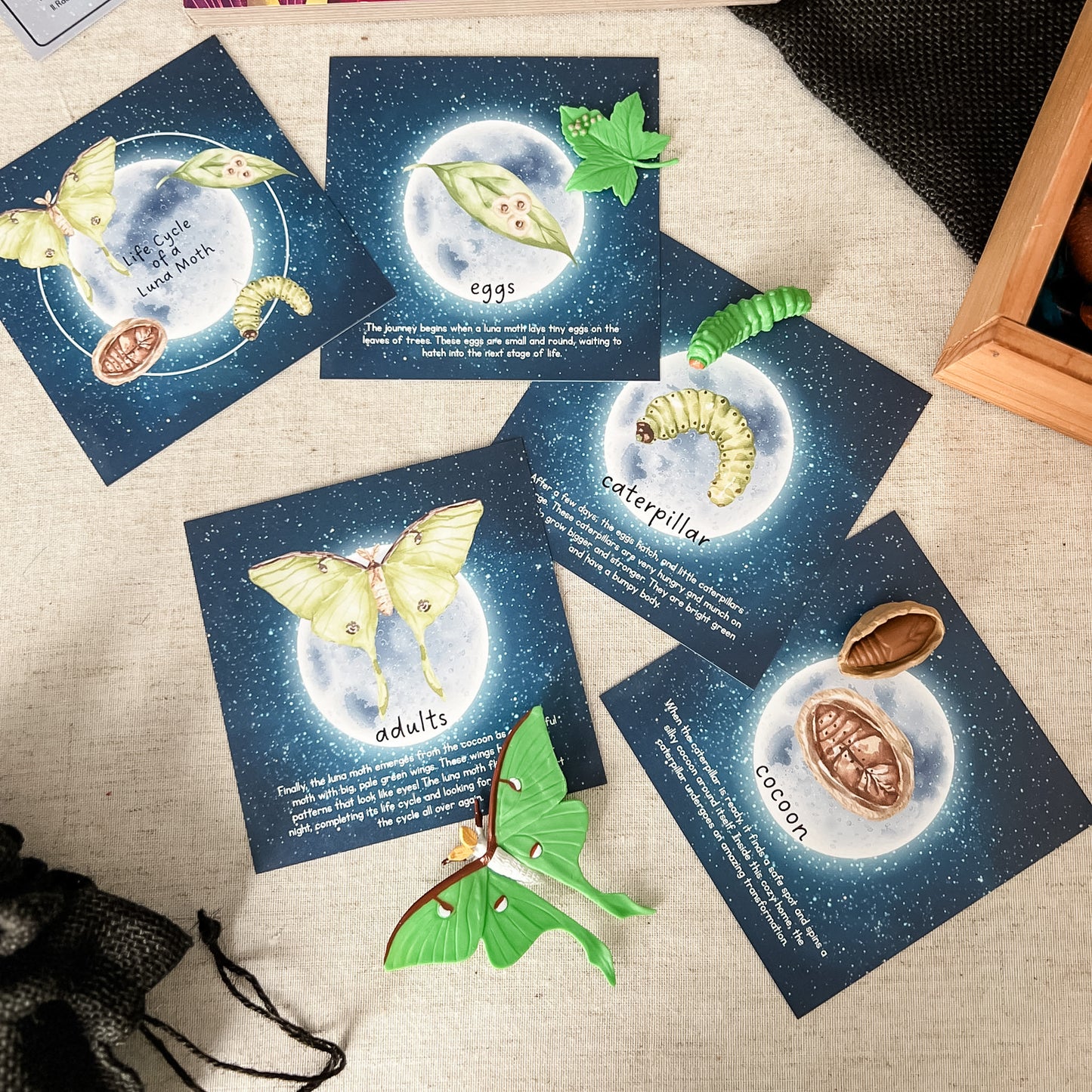Read And Play - Early Learning Subscription Box 2026