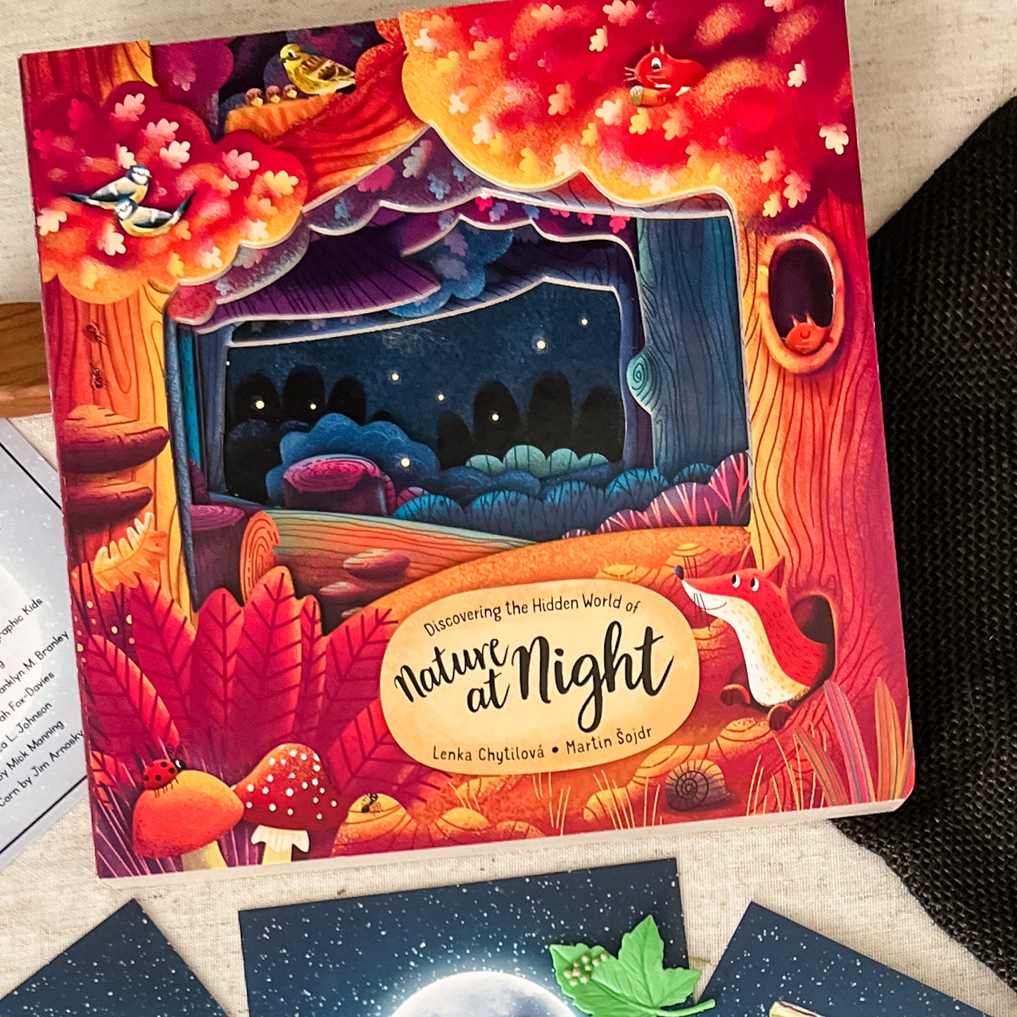 Read And Play - Early Learning Subscription Box 2026