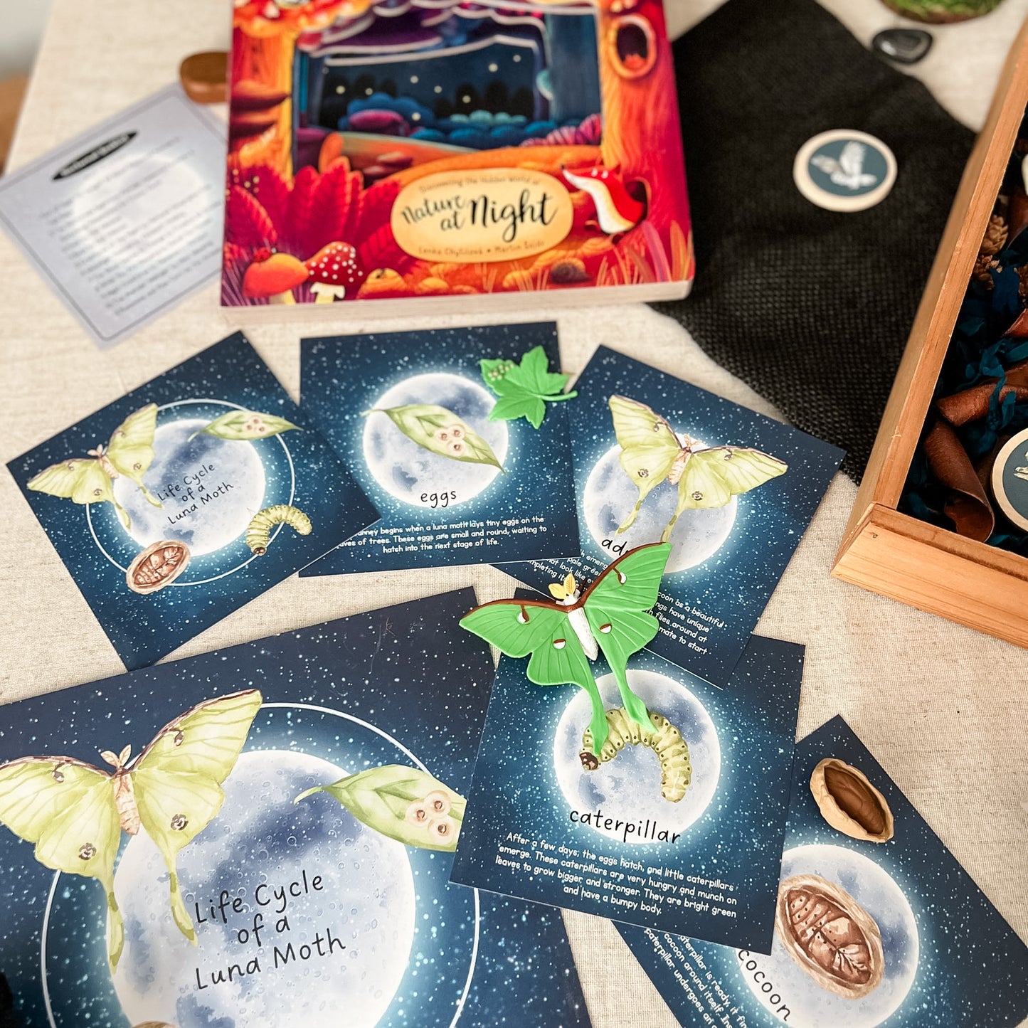 Read And Play - Early Learning Subscription Box 2026