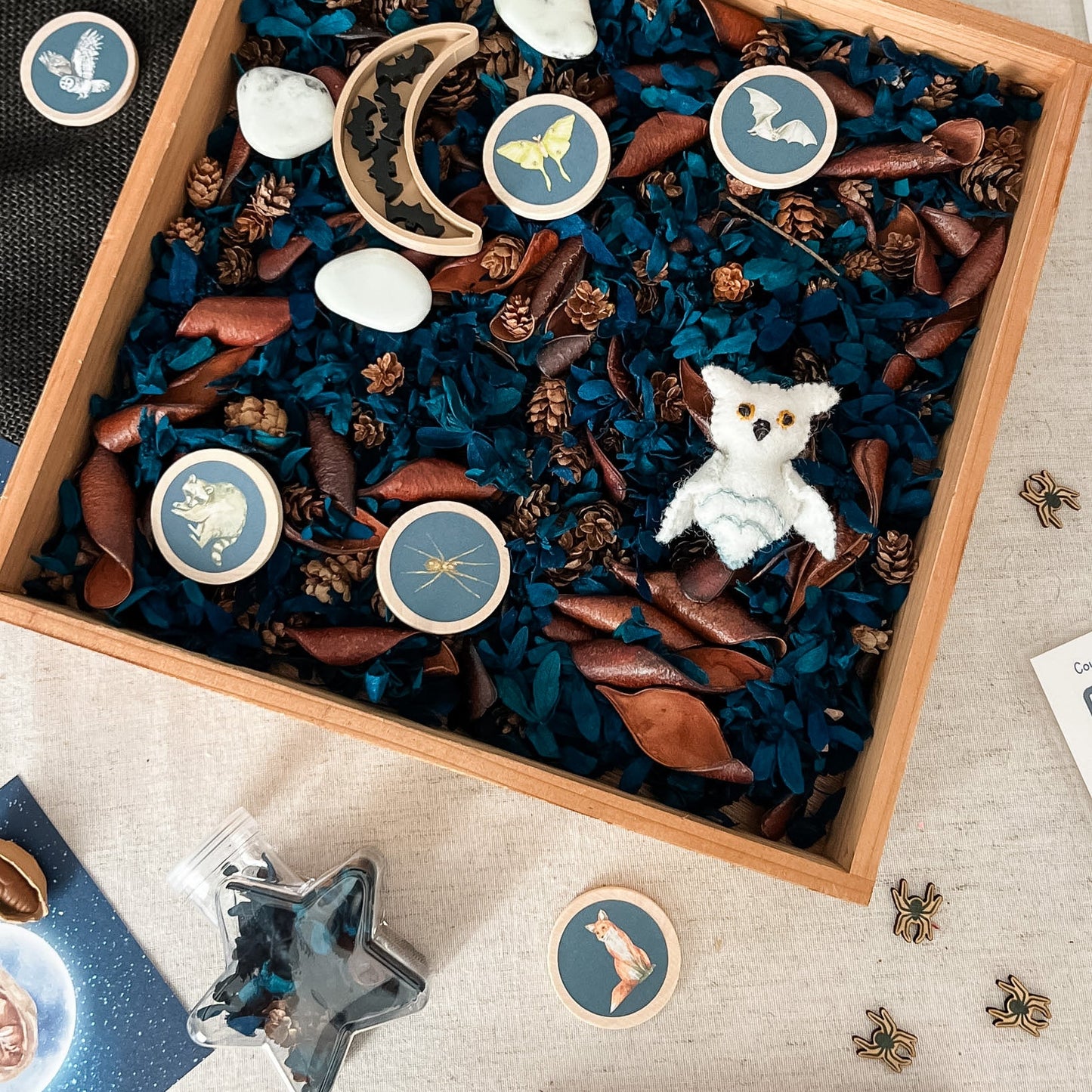 Dig and Play - Early Learning Subscription Box 2026