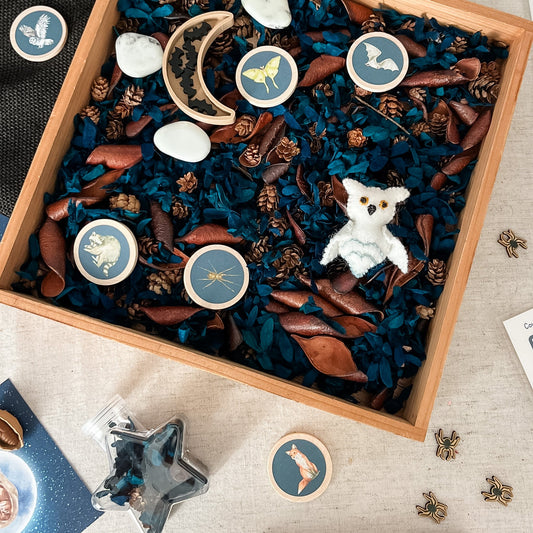 Dig and Play - Early Learning Subscription Box 2026
