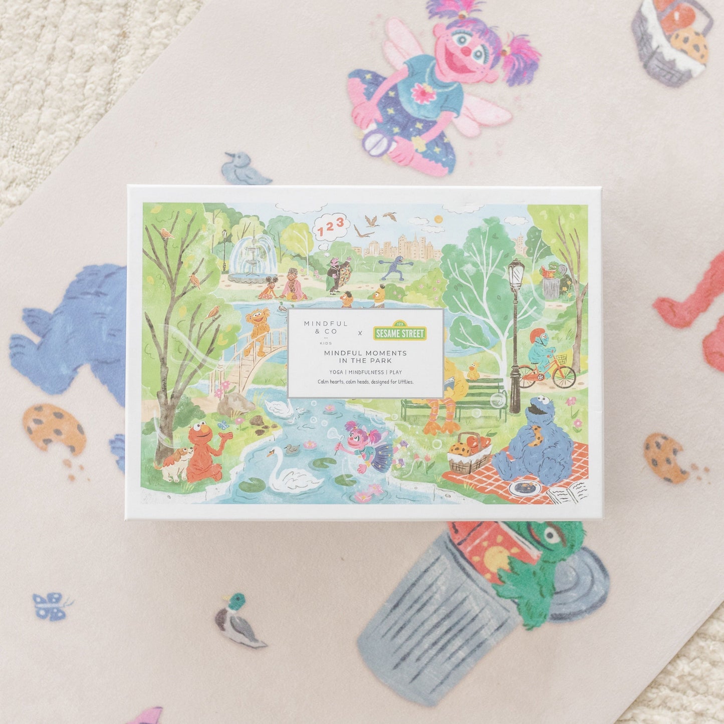 Sesame Street Adventure Bundle