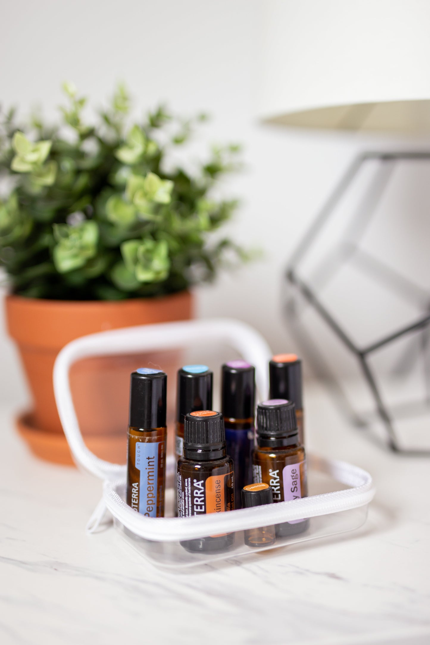 Extra Small Bliss Bins®️| 2 Pack