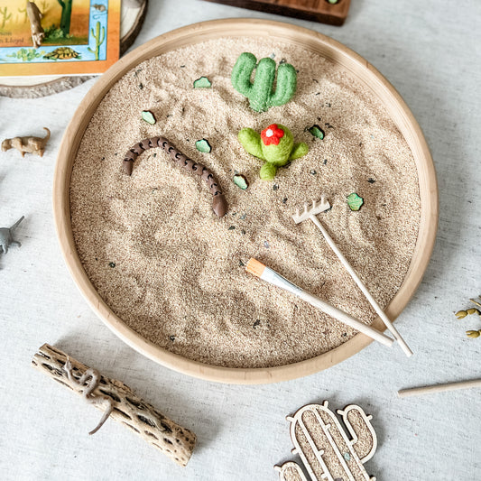 Desert Dig & Play