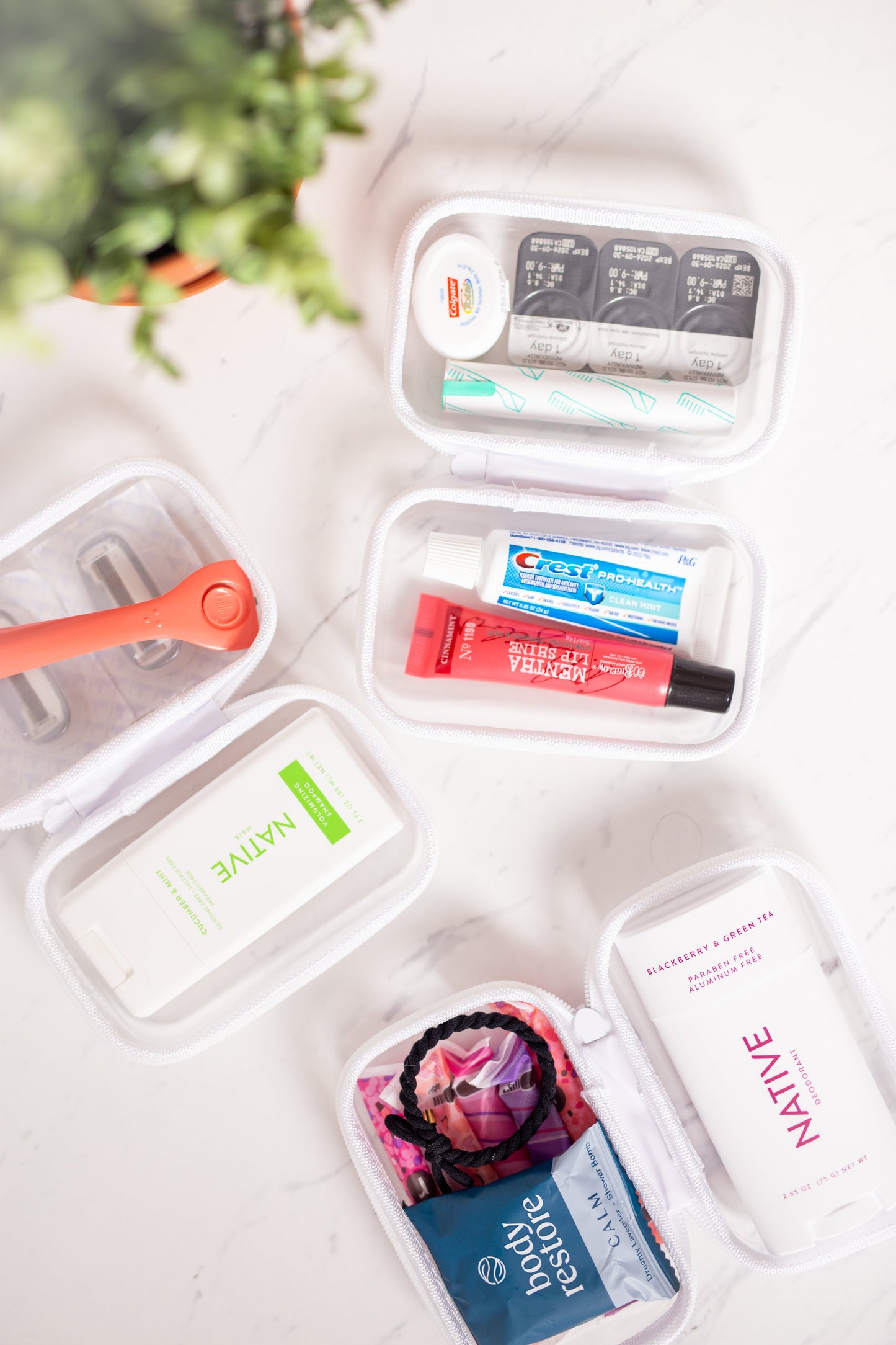 Extra Small Bliss Bins®️| 2 Pack