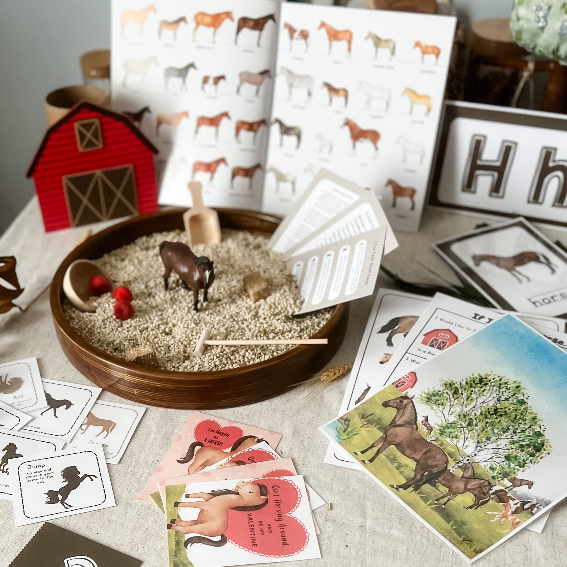Horses Activity Box and Book - Chickadees Wooden Toys