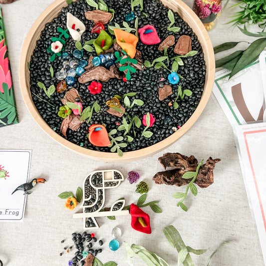 Rainforest Dig & Play