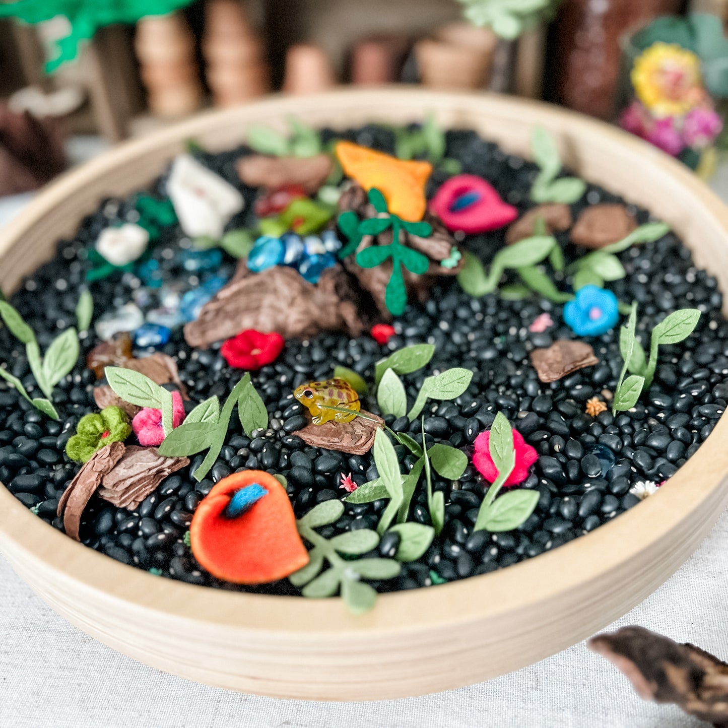 Rainforest Dig & Play