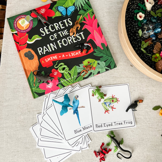 Rainforest - Read & Play Box