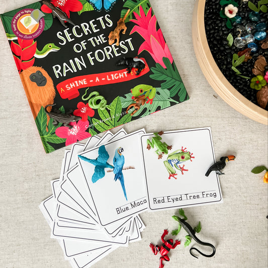 Read And Play - Early Learning Subscription Box