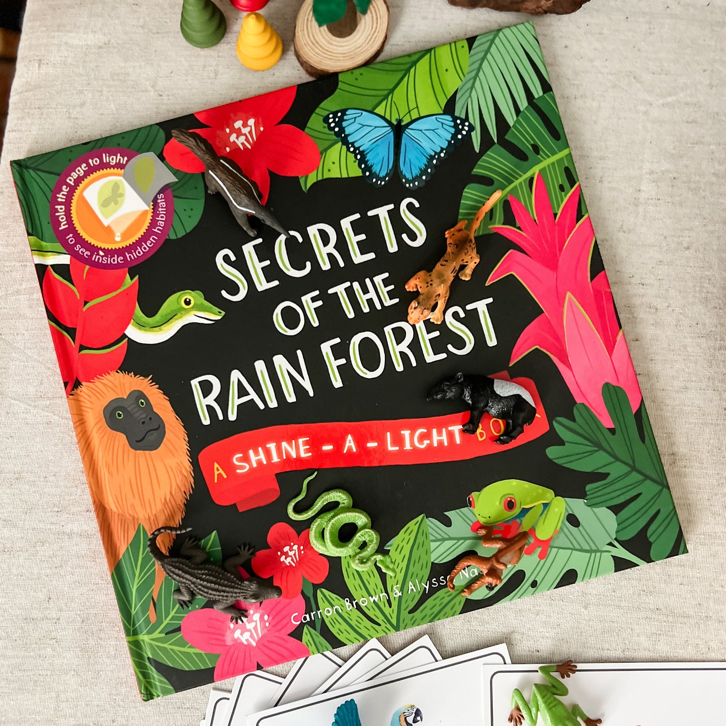 Rainforest - Read & Play Box