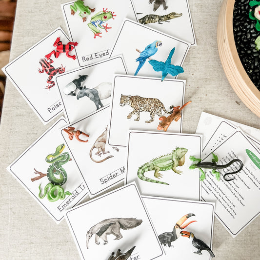Rainforest Matching - Cards & Figures