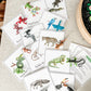 Rainforest - Read & Play Box