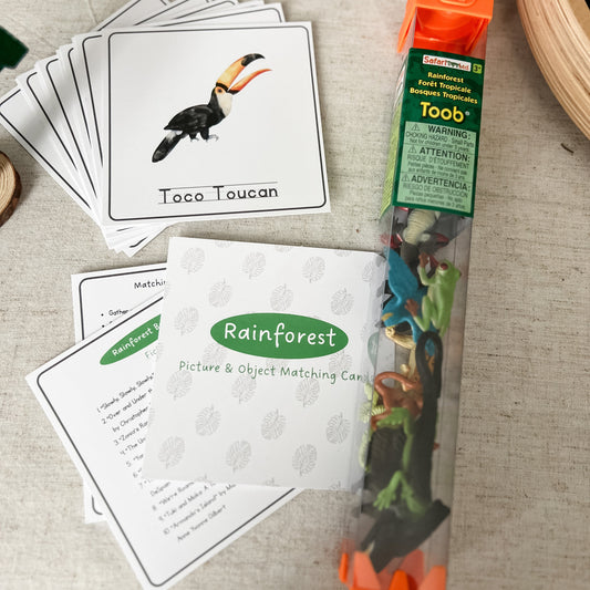 Rainforest Matching - Cards & Figures
