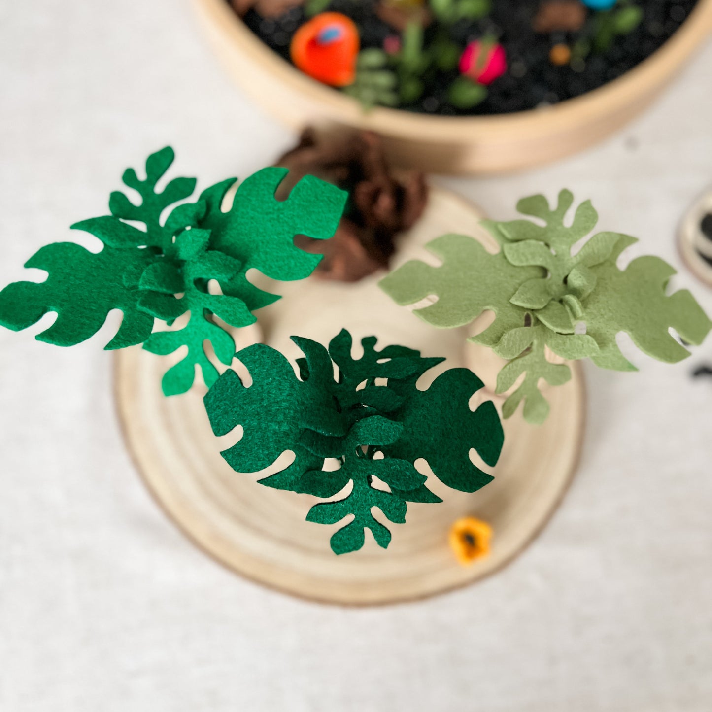 Rainforest Trees