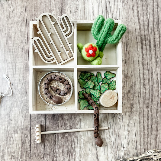 Desert Discovery Tray
