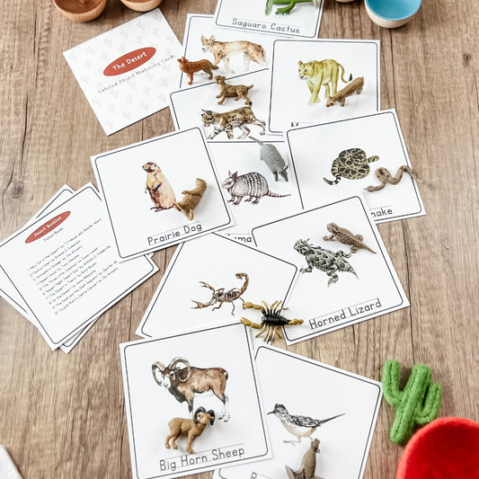 Desert Matching - Cards & Figures