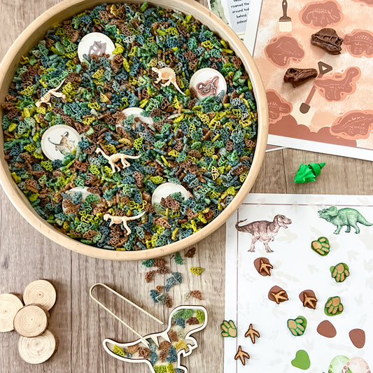 Dinosaur Dig & Play
