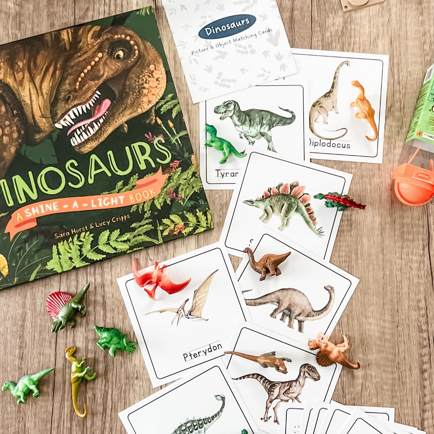 Read And Play - Early Learning Subscription Box