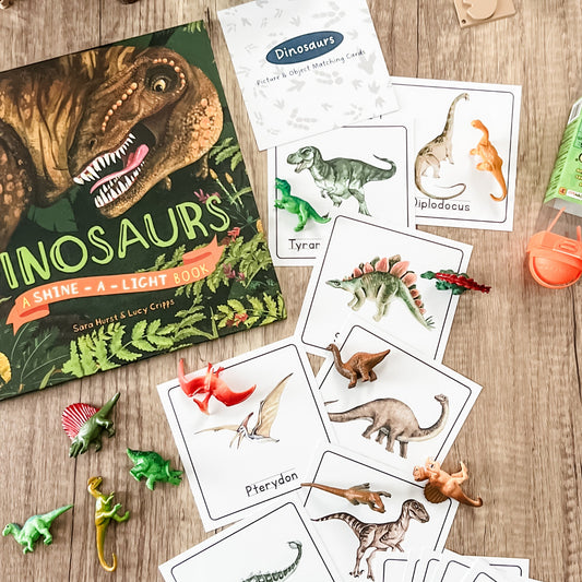 Dinosaurs - Read & Play Box