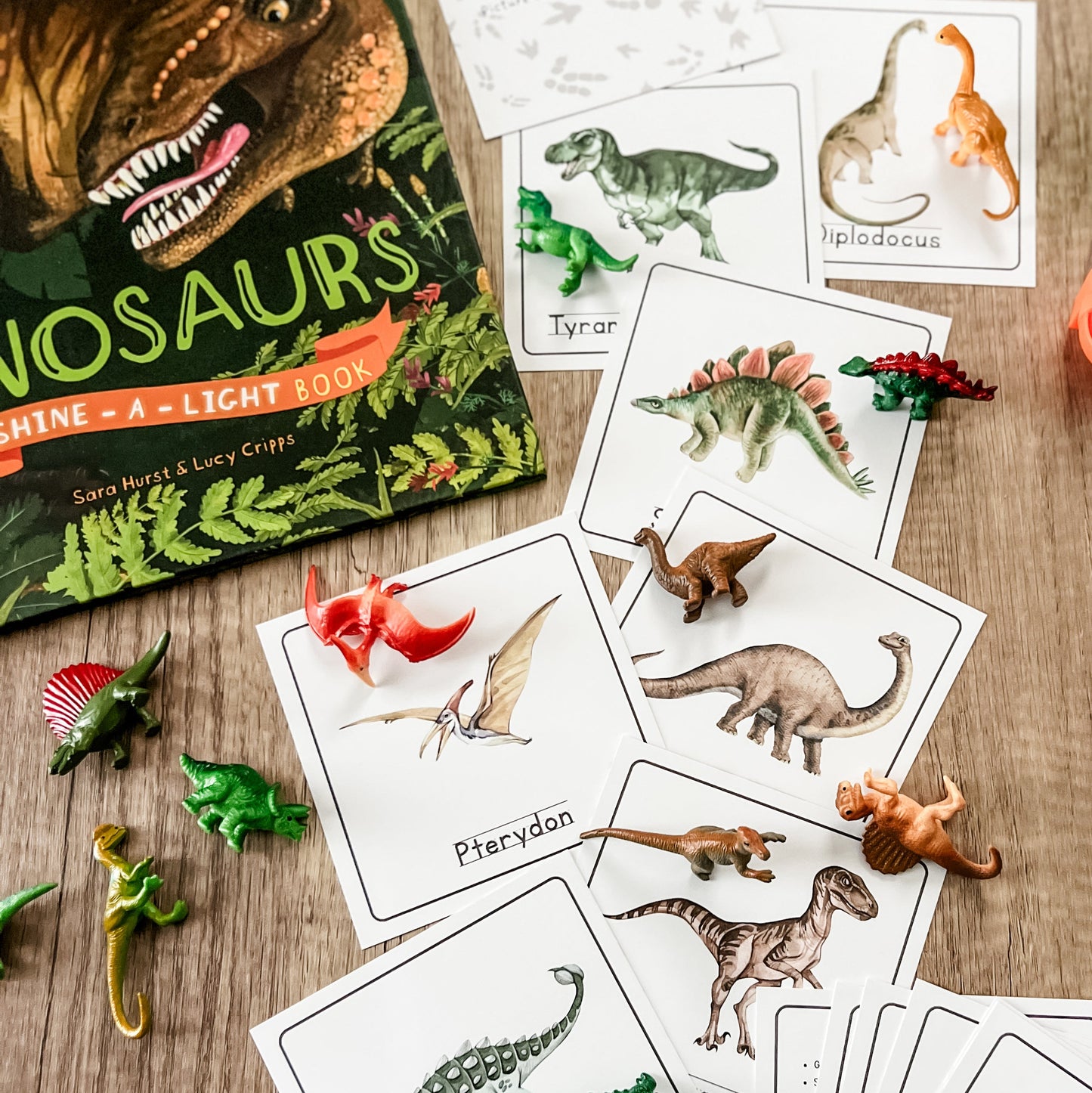 Dinosaurs - Read & Play Box