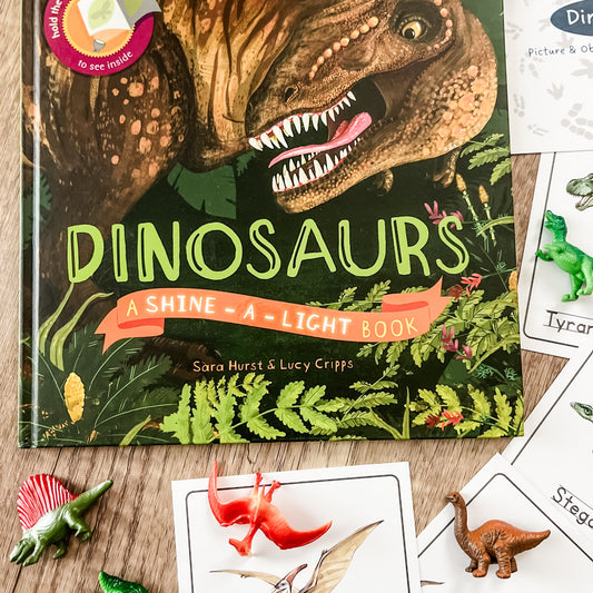 Dinosaurs - Read & Play Box