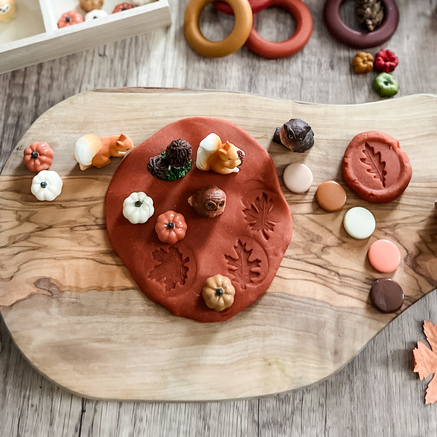 Autumn Woods Play Dough Tray