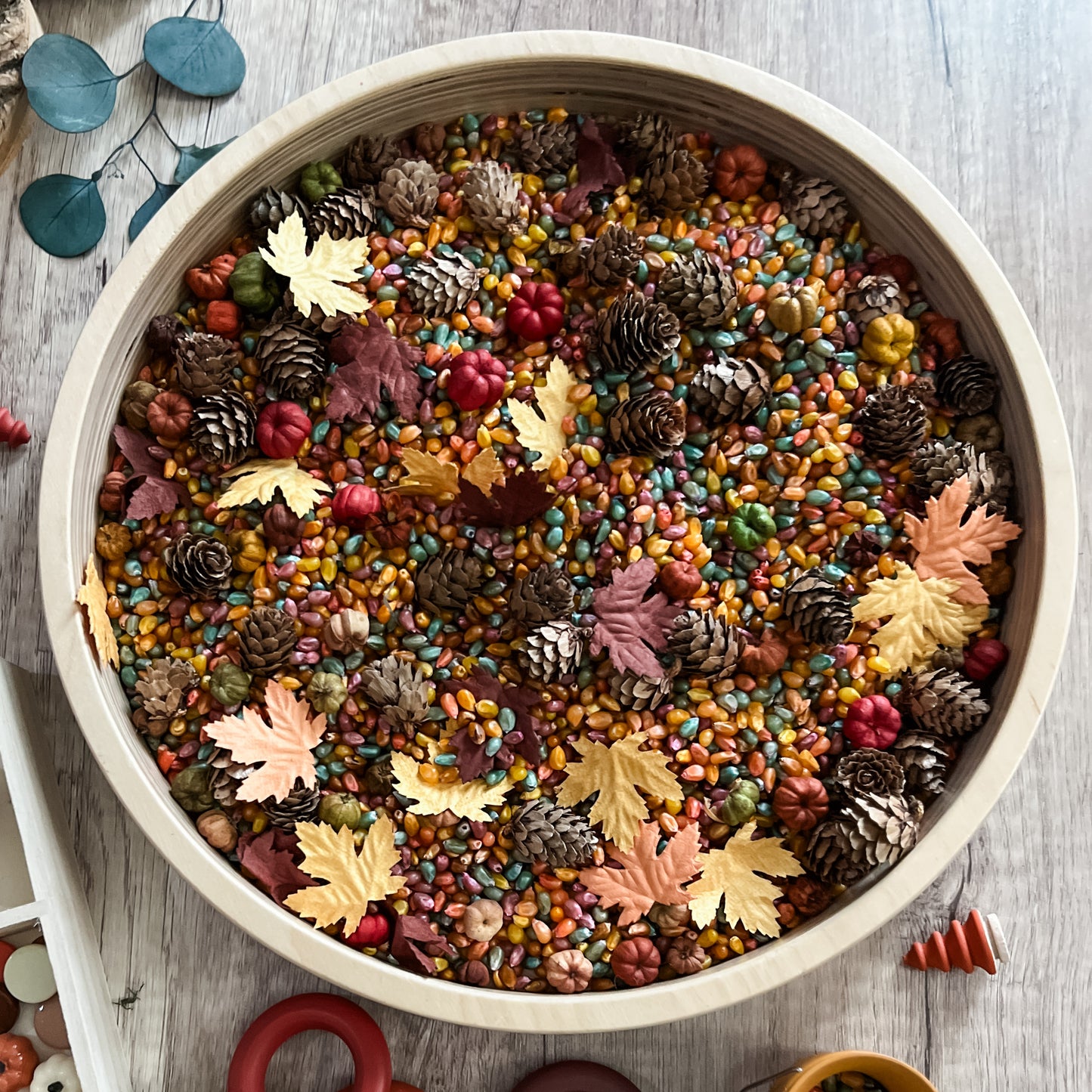 Autumn Time Sensory Bin Filler