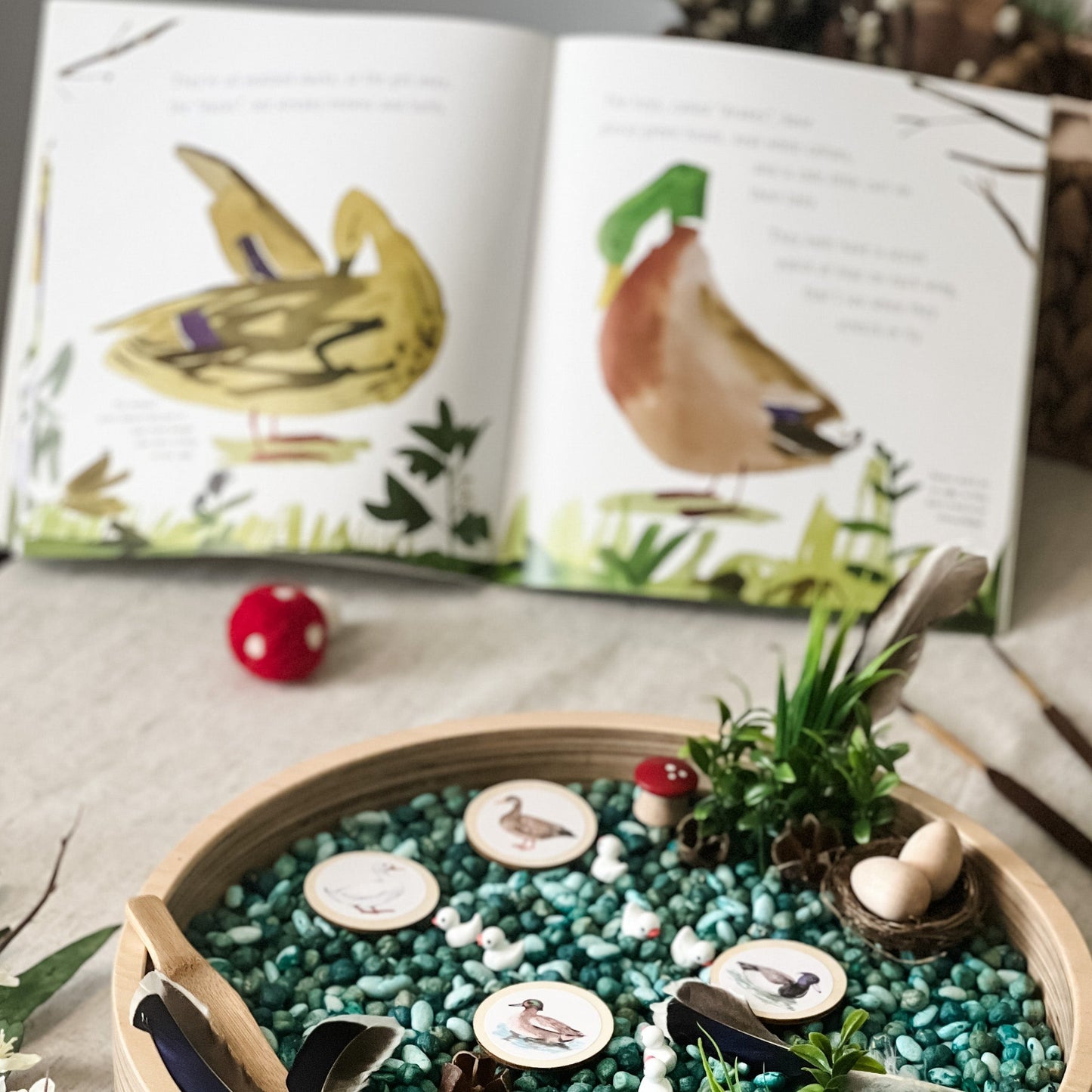 Ducks - Playful Minds Activity Box and Book