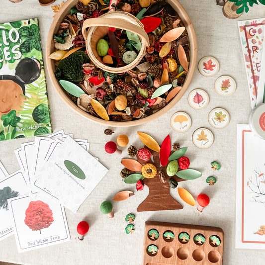 Dig and Play - Early Learning Subscription Box