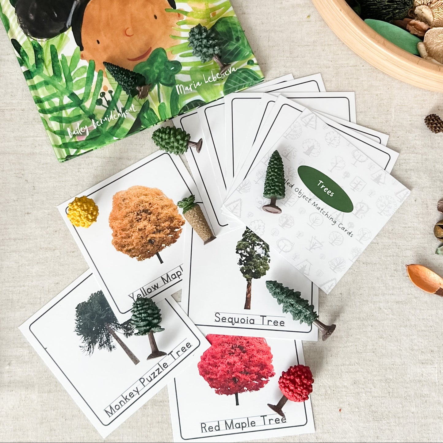 Children's book titled 'Hello, Trees' with tree-themed flashcards on a textured surface.