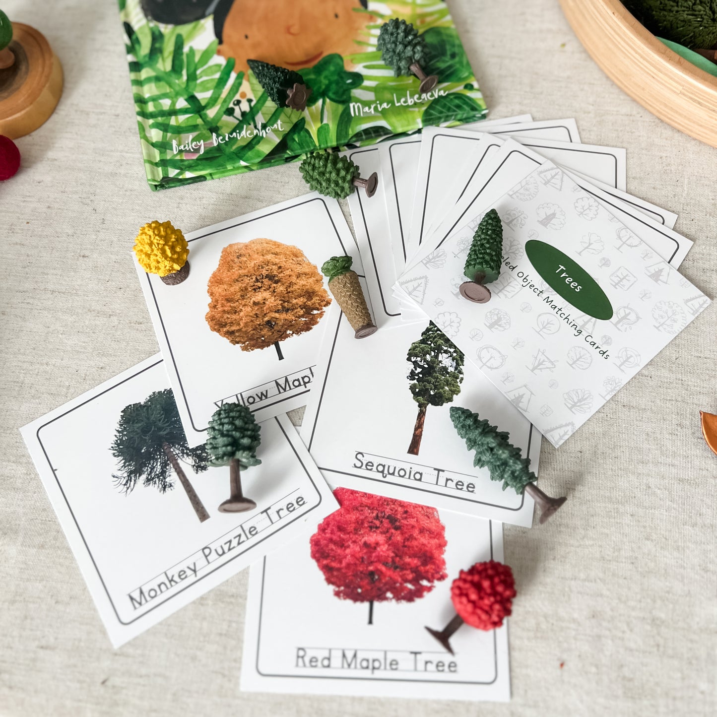 Read And Play - Early Learning Subscription Box